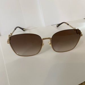 Chloe Sunglasses With Circle Accents on Frames